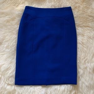 The Limited - Skirt